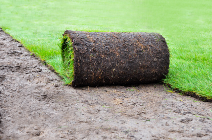 Jobs Mitarbeiter M W D Im Garten Und Landschaftsbau In